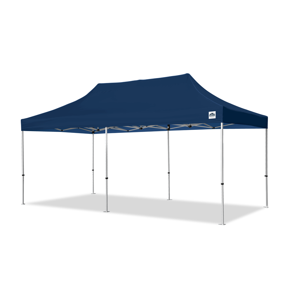 10 x 20 ez up canopy hotsell